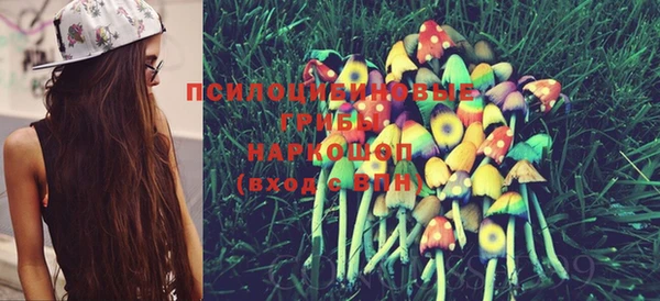 ПСИЛОЦИБИНОВЫЕ ГРИБЫ Мегион