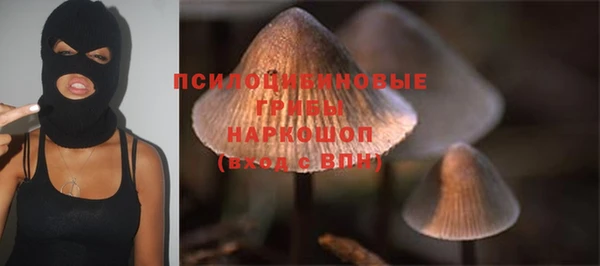 а пвп мука Медвежьегорск