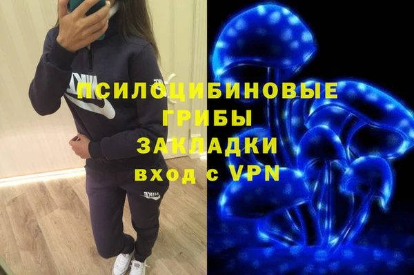 ПСИЛОЦИБИНОВЫЕ ГРИБЫ Мегион