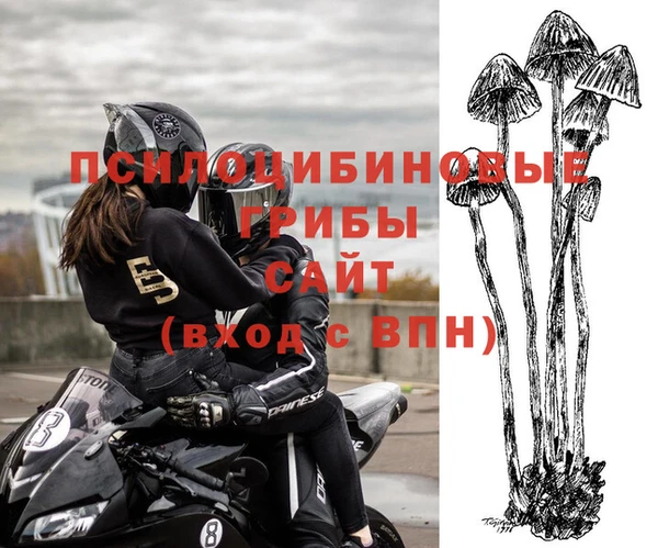 а пвп мука Медвежьегорск
