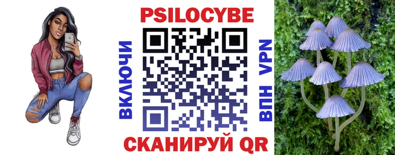 Галлюциногенные грибы Psilocybe  Купить закладки  Шлиссельбург 