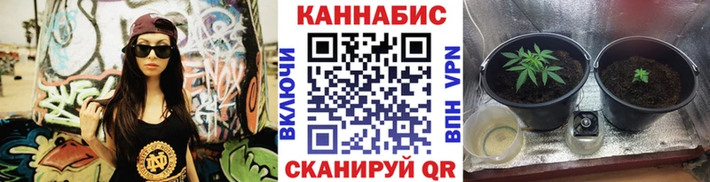 Бошки марихуана конопля Шлиссельбург
